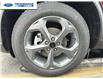 2025 Ford Escape ST-Line Select (Stk: SUA56713) in Wallaceburg - Image 2 of 16