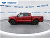 2025 Ford F-150 STX (Stk: SFA71597) in Wallaceburg - Image 5 of 24