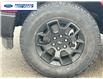 2025 Ford F-150 STX (Stk: SFA71597) in Wallaceburg - Image 10 of 24