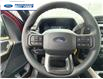 2025 Ford F-150 STX (Stk: SFA71597) in Wallaceburg - Image 14 of 24