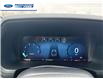2025 Ford F-150 STX (Stk: SFA71597) in Wallaceburg - Image 15 of 24