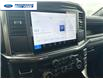 2025 Ford F-150 STX (Stk: SFA71597) in Wallaceburg - Image 16 of 24