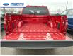 2025 Ford F-150 STX (Stk: SFA71597) in Wallaceburg - Image 22 of 24