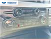 2025 Ford F-250 XLT (Stk: SEC54777) in Wallaceburg - Image 19 of 25