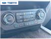 2020 Ford F-250 Lariat (Stk: LEE24866T) in Wallaceburg - Image 19 of 26