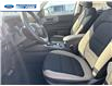 2025 Ford Bronco Sport Big Bend (Stk: SRE41682) in Wallaceburg - Image 11 of 24