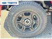 2025 Ford F-250 XL (Stk: SEC80690) in Wallaceburg - Image 10 of 23