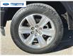 2020 Ford F-150 Platinum (Stk: LFB72020) in Wallaceburg - Image 10 of 26
