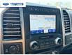 2020 Ford F-150 Platinum (Stk: LFB72020) in Wallaceburg - Image 18 of 26