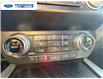 2020 Ford F-150 Platinum (Stk: LFB72020) in Wallaceburg - Image 19 of 26