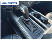 2020 Ford F-150 Platinum (Stk: LFB72020) in Wallaceburg - Image 20 of 26
