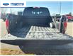 2020 Ford F-150 Platinum (Stk: LFB72020) in Wallaceburg - Image 24 of 26