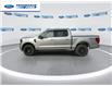 2025 Ford F-150 XLT (Stk: SFA07799) in Wallaceburg - Image 5 of 25