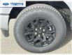 2025 Ford F-150 XLT (Stk: SFA07799) in Wallaceburg - Image 10 of 25