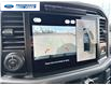 2025 Ford F-150 XLT (Stk: SFA07799) in Wallaceburg - Image 17 of 25