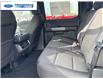 2025 Ford F-150 XLT (Stk: SFA07799) in Wallaceburg - Image 22 of 25