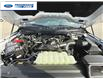 2025 Ford F-150 XLT (Stk: SFA07799) in Wallaceburg - Image 25 of 25