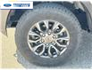 2023 Ford Ranger XLT (Stk: PLE22241) in Wallaceburg - Image 10 of 24
