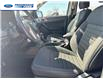 2023 Ford Ranger XLT (Stk: PLE22241) in Wallaceburg - Image 11 of 24