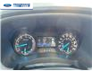2023 Ford Ranger XLT (Stk: PLE22241) in Wallaceburg - Image 15 of 24