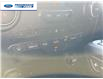 2023 Ford Ranger XLT (Stk: PLE22241) in Wallaceburg - Image 18 of 24