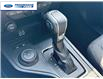 2023 Ford Ranger XLT (Stk: PLE22241) in Wallaceburg - Image 19 of 24