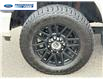2020 Ford F-250 Lariat (Stk: LED91401T) in Wallaceburg - Image 10 of 26
