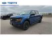 2025 Ford F-150 STX (Stk: SFA86044) in Wallaceburg - Image 4 of 24