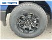 2025 Ford F-150 STX (Stk: SFA86044) in Wallaceburg - Image 10 of 24
