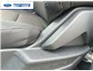2025 Ford F-150 STX (Stk: SFA86044) in Wallaceburg - Image 12 of 24