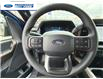 2025 Ford F-150 STX (Stk: SFA86044) in Wallaceburg - Image 14 of 24