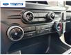 2025 Ford F-150 STX (Stk: SFA86044) in Wallaceburg - Image 18 of 24