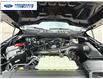 2025 Ford F-150 STX (Stk: SFA86044) in Wallaceburg - Image 24 of 24