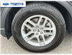 2025 Ford Explorer Active (Stk: SGA79633T) in Wallaceburg - Image 10 of 26