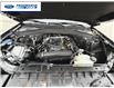 2025 Ford Explorer Active (Stk: SGA79633T) in Wallaceburg - Image 26 of 26
