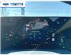 2025 Ford Mustang EcoBoost Premium (Stk: S5115171) in Wallaceburg - Image 15 of 25