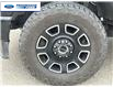 2023 Ford F-250 Platinum (Stk: PED90857T) in Wallaceburg - Image 10 of 26