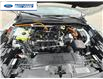 2025 Ford Escape ST-Line (Stk: SUA75623) in Wallaceburg - Image 26 of 26