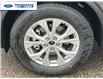 2025 Ford Escape Active (Stk: SUA64008) in Wallaceburg - Image 10 of 25