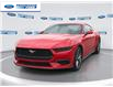 2025 Ford Mustang EcoBoost (Stk: S5113847) in Wallaceburg - Image 1 of 24