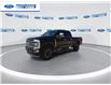 2023 Ford F-250 Platinum (Stk: PED90857T) in Wallaceburg - Image 4 of 26