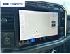 2023 Ford F-250 Platinum (Stk: PED90857T) in Wallaceburg - Image 18 of 26