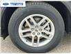2025 Ford Explorer Active (Stk: SGB87895) in Wallaceburg - Image 10 of 23