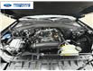 2025 Ford Explorer Active (Stk: SGB87895) in Wallaceburg - Image 23 of 23