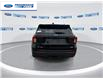 2025 Ford Explorer Active (Stk: SGB87895) in Wallaceburg - Image 7 of 23