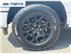 2025 Ford F-150 XLT (Stk: SFA58384) in Wallaceburg - Image 10 of 25