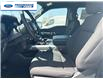 2025 Ford F-150 XLT (Stk: SFA58384) in Wallaceburg - Image 11 of 25