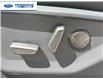 2025 Ford F-150 XLT (Stk: SFA58384) in Wallaceburg - Image 12 of 25