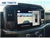 2025 Ford F-150 XLT (Stk: SFA58384) in Wallaceburg - Image 17 of 25