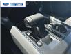 2025 Ford F-150 XLT (Stk: SFA58384) in Wallaceburg - Image 20 of 25